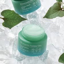 TONYMOLY Houttuynia Cordata Cica Cooling Watery Cream (100ml)